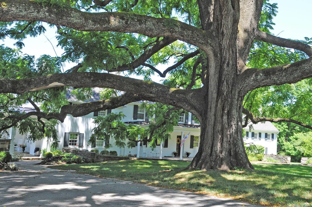 Parkville, Maryland